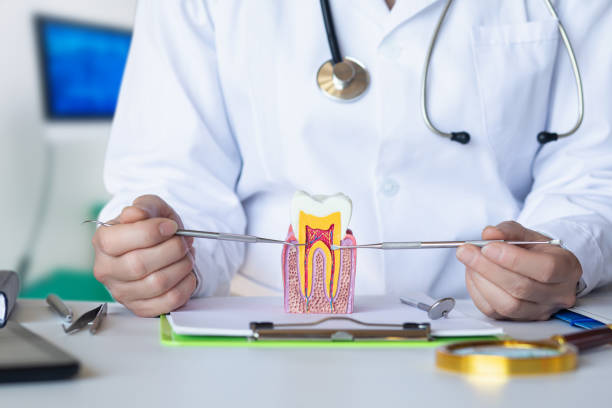 , NC Emergency Dental Service Company